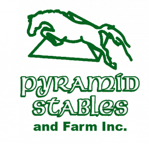 Pyramid Stables logo, Paradise West Website Services client